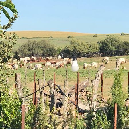 Alojamiento Rural El Soldao Medina-Sidonia Eksteriør bilde