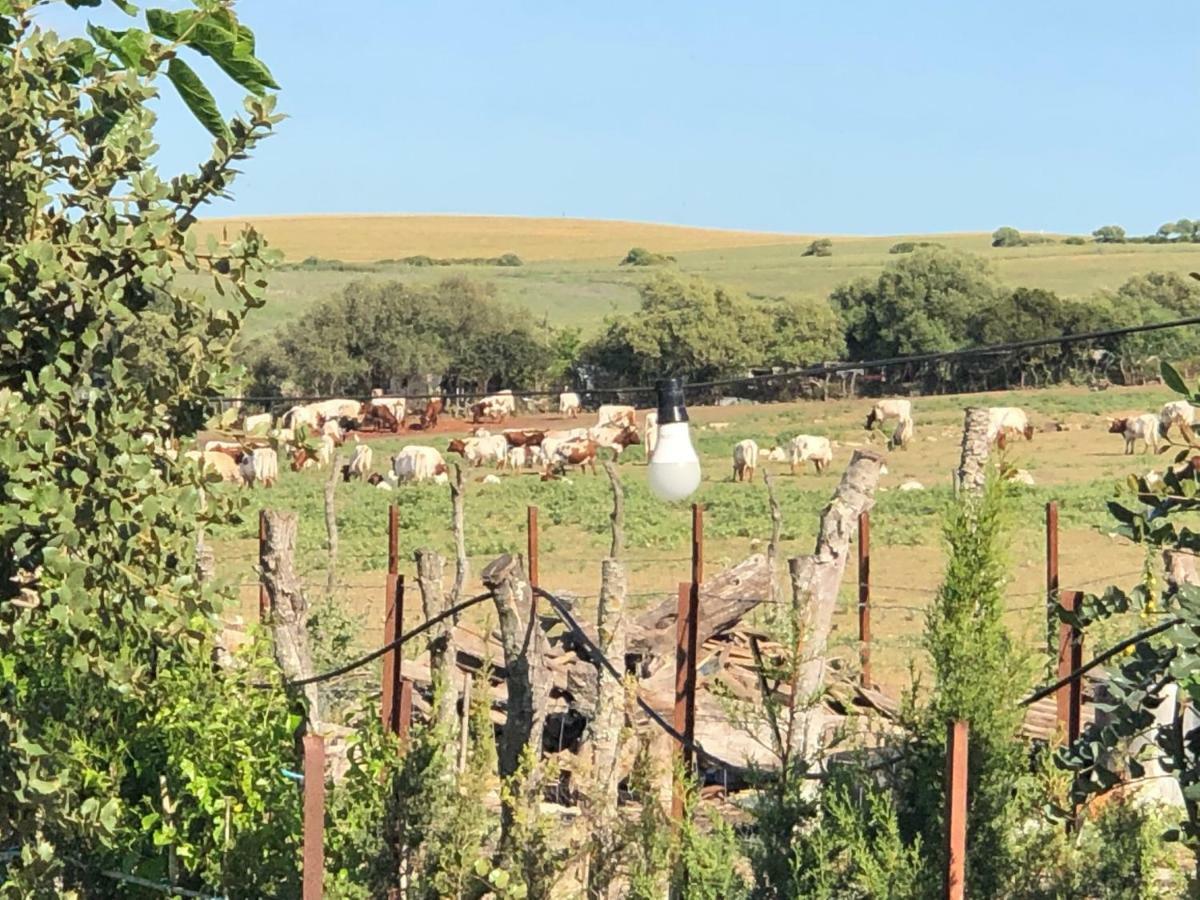 Alojamiento Rural El Soldao Medina-Sidonia Eksteriør bilde